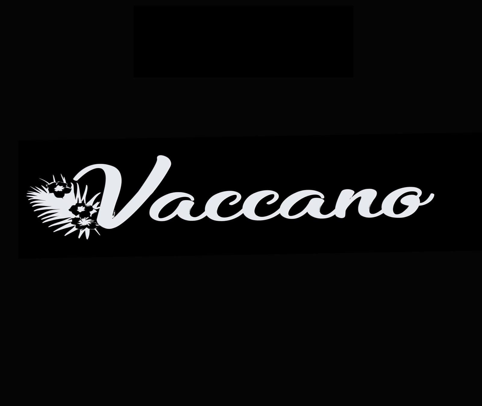 Vaccano